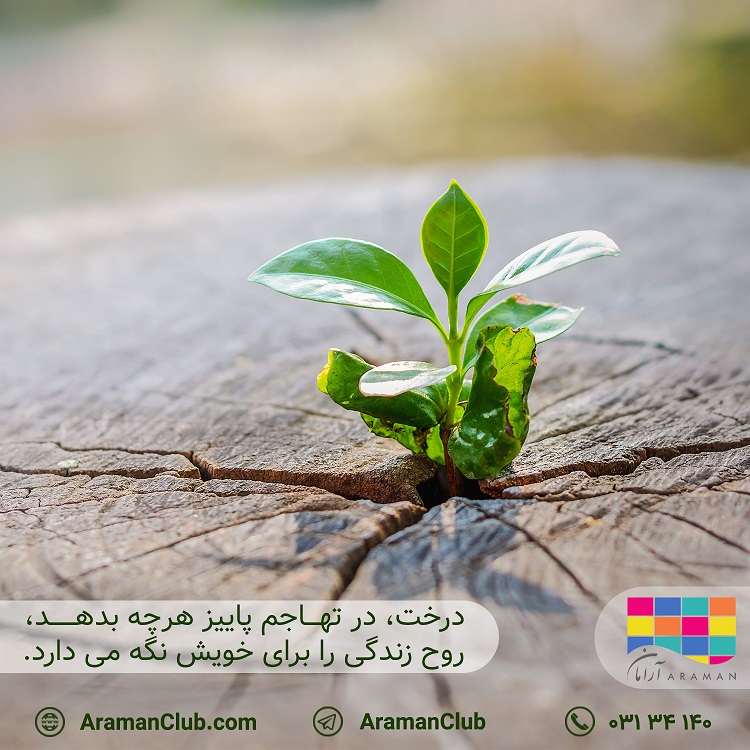 Read more about the article روز درختکاری گرامی باد!